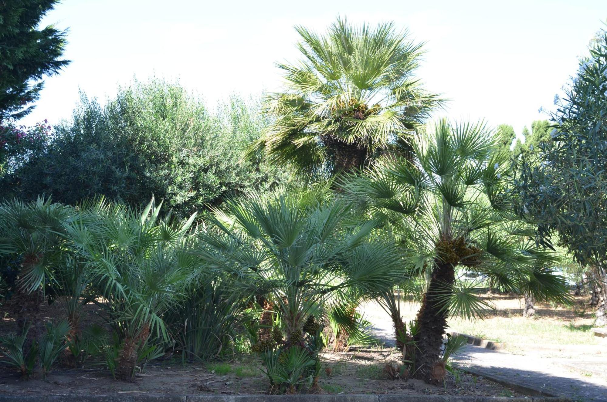 Teti - Sicilia * Campofelice Di Roccella